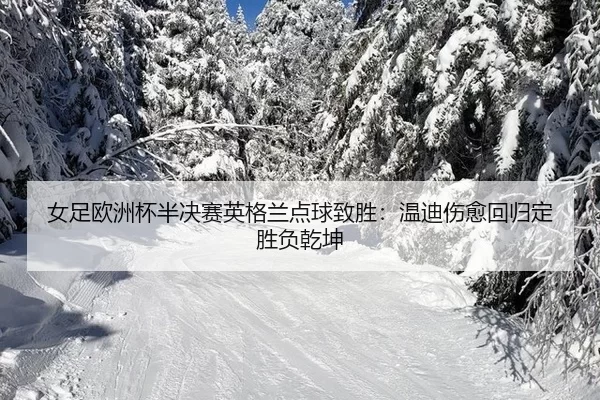nv-zu-ou-zhou-bei-ban-jue-sai-ying-ge-lan-dian-qiu-zhi-sheng-wen-di-shang-yu-hui-gui-ding-sheng-fu-qian-kun-3-442.jpg
